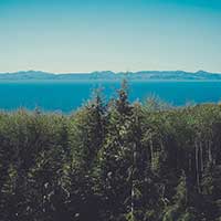 无限拨打手机号软件