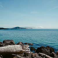 打爆别人短信的软件