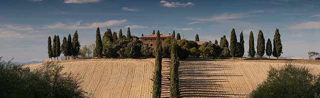 短信在线呼死你2023