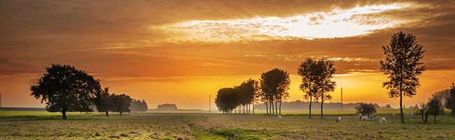 短信在线呼死你2023